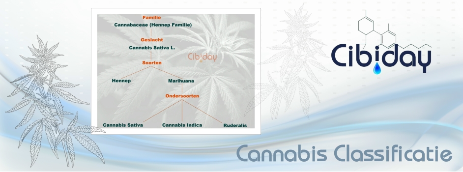 Cannabis Classificatie
